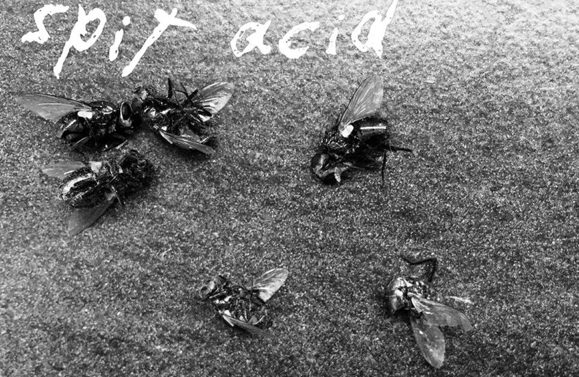 no!pop:short.reviews.für.die.ewigkeit: Spit Acid – Demo 2019